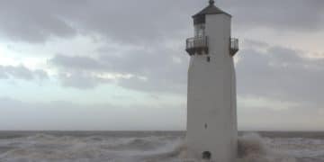 Timeless Reports: Building a Storm-Proof Investment Portfolio - Cover Image