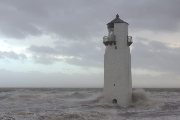 Timeless Reports: Building a Storm-Proof Investment Portfolio