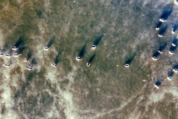 A modern satellite image showing several US Navy warships sailing in formation in the South China Sea, with the Chinese coast visible in the distance. This image represents current US foreign policy challenges in the region.