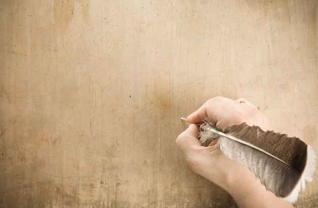 A close-up shot of a hand carefully turning a page in an old diary, with a quill pen resting nearby, highlighting the tactile and personal nature of primary source material.